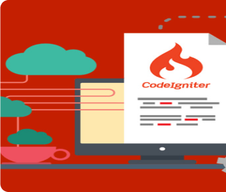 ASP .Net Development