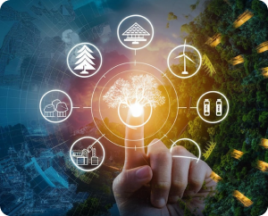 Energy Conservation Insights