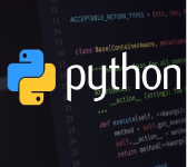python developement process in chennai